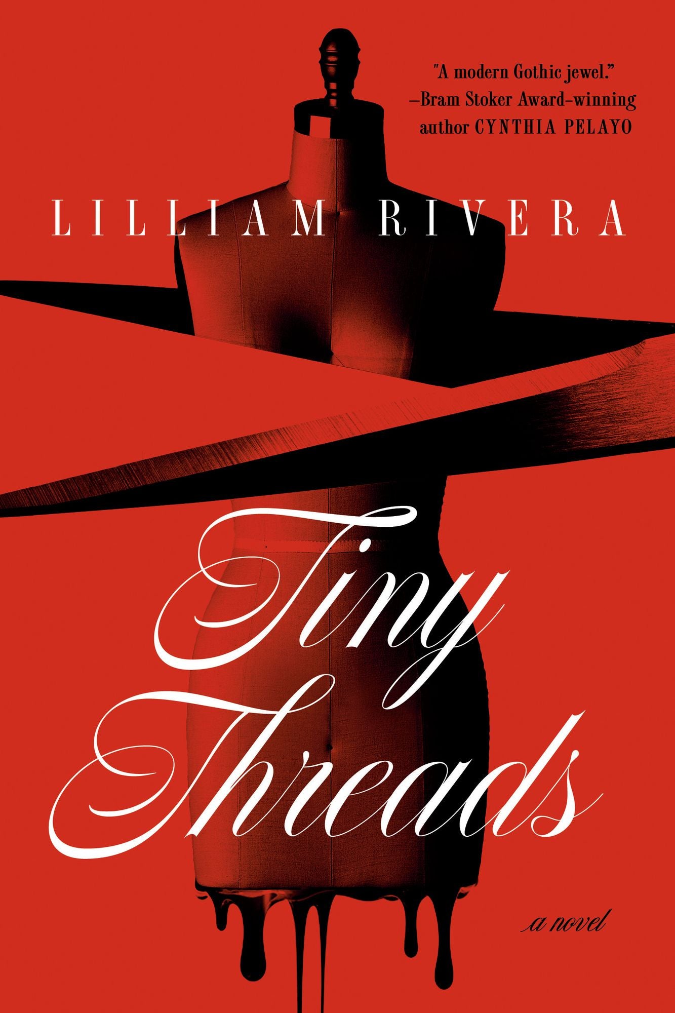 Tiny Threads: A Novel