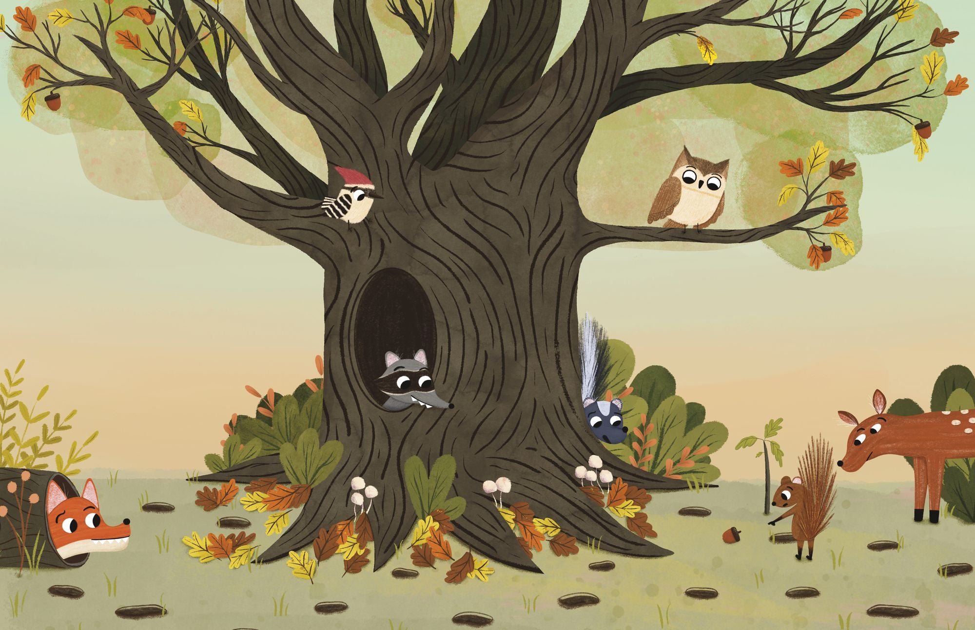 Have You Seen My Acorn?