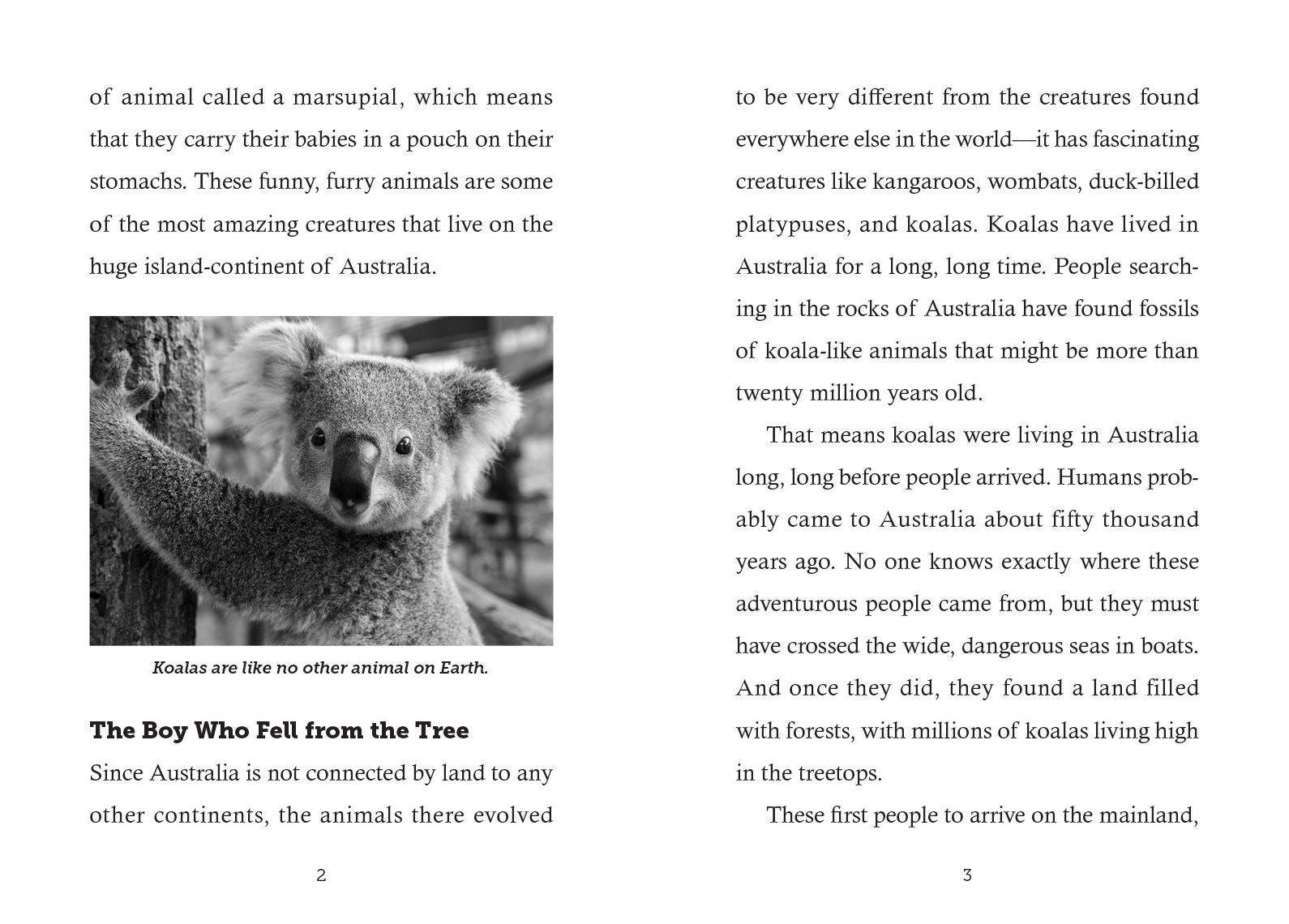 Save the... Koalas