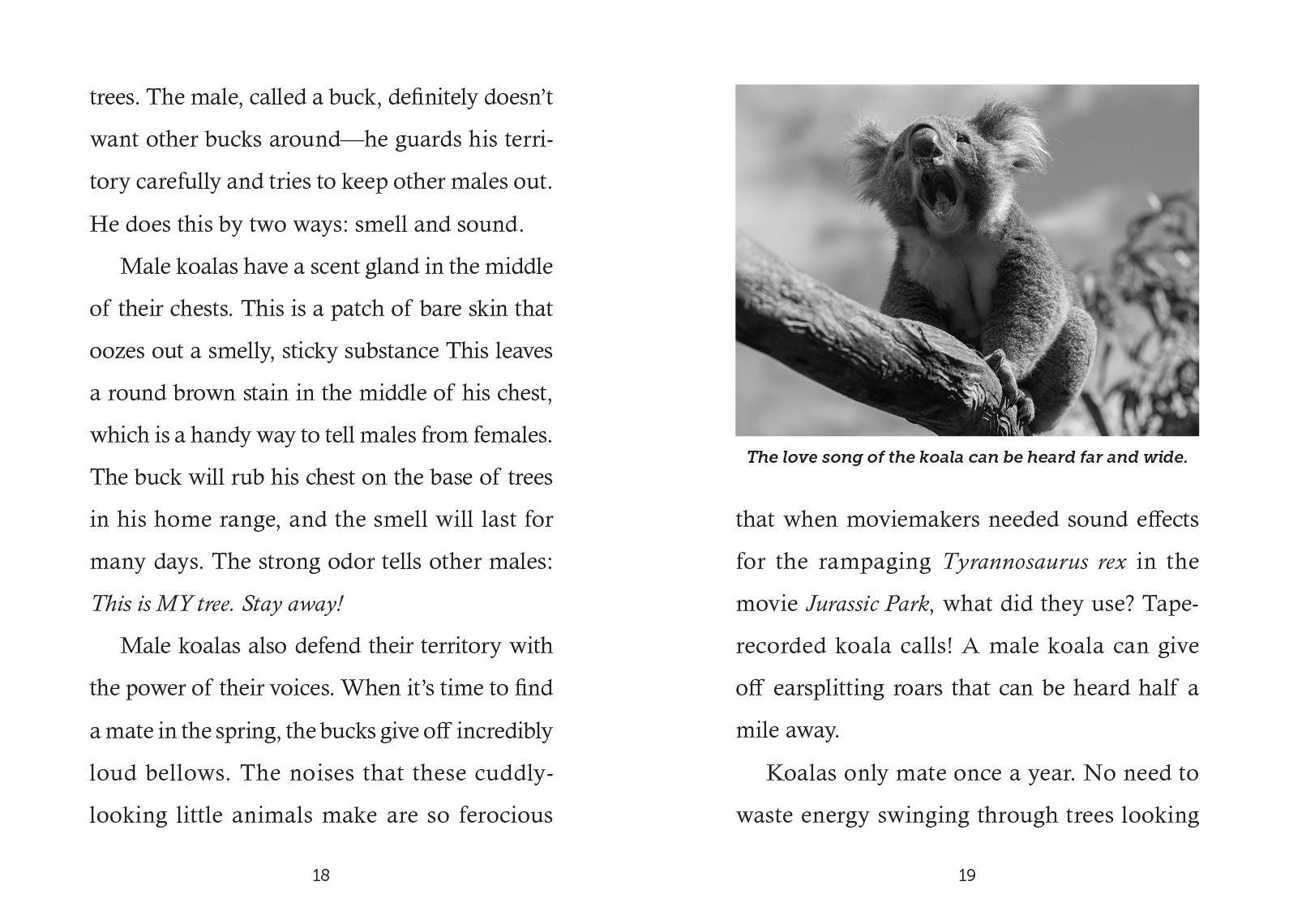 Save the... Koalas