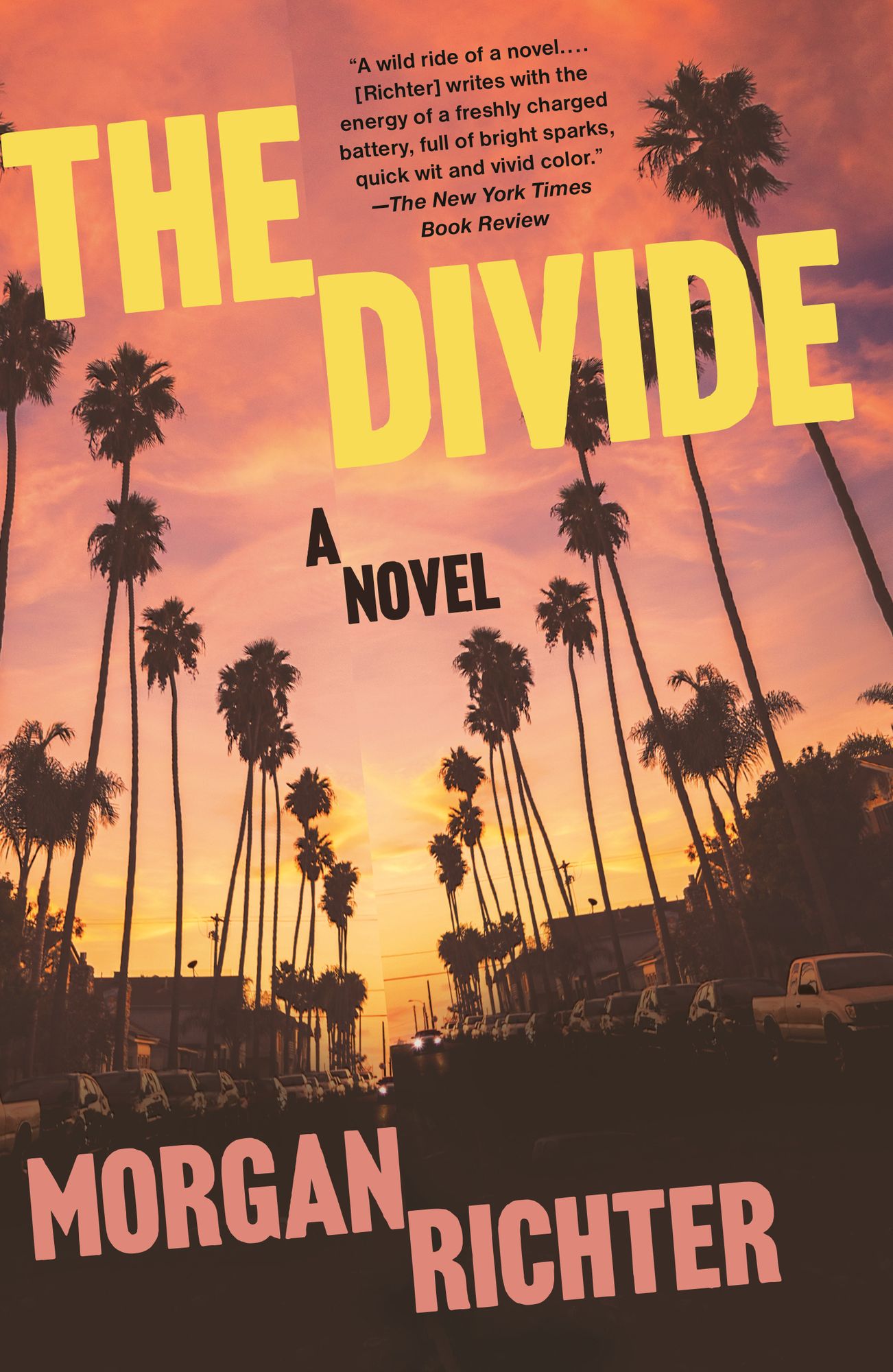 The Divide: A Novel