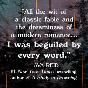 A Land So Wide: A Novel