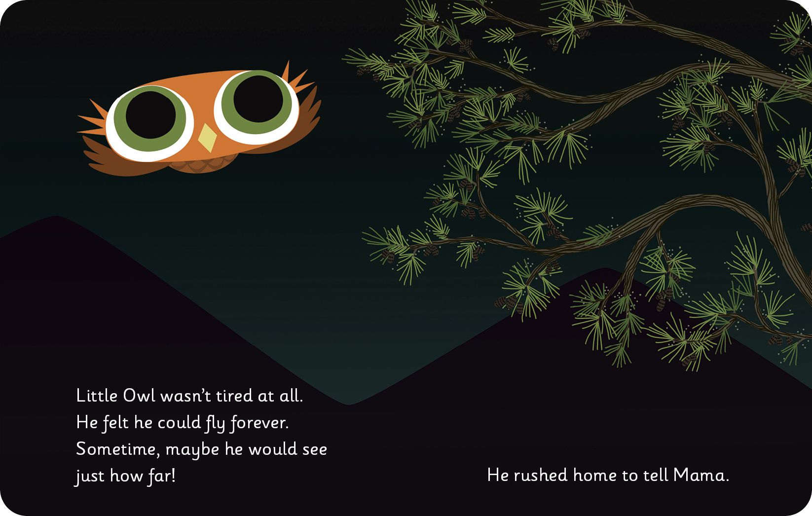 Little Owl's Love