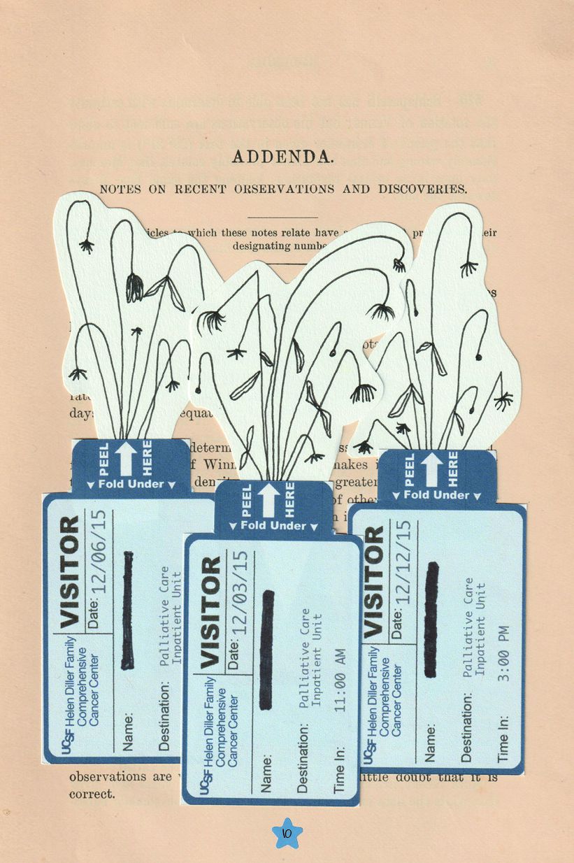 The Secret Astronomers