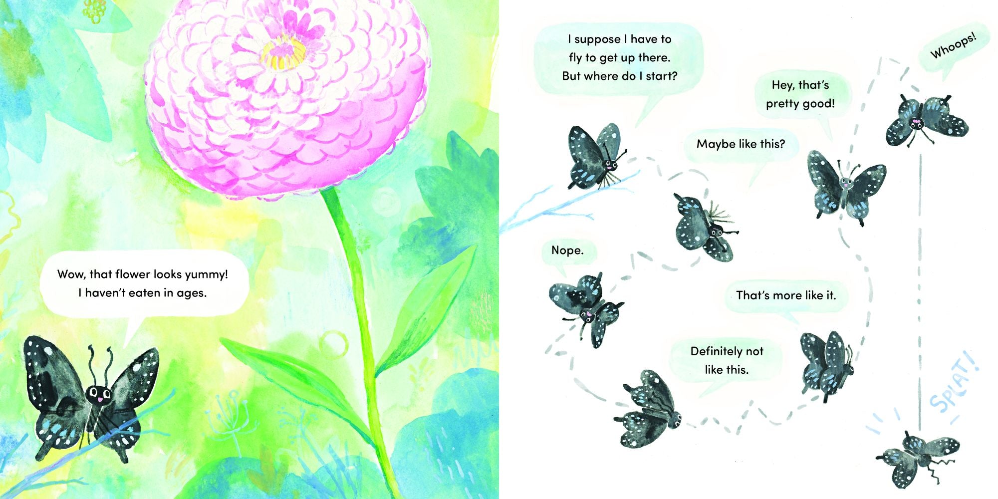 Papilio