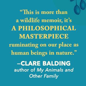 Raising Hare: A Memoir
