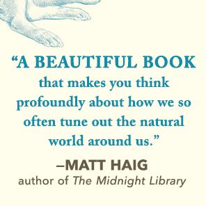 Raising Hare: A Memoir