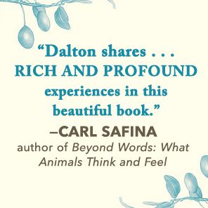 Raising Hare: A Memoir