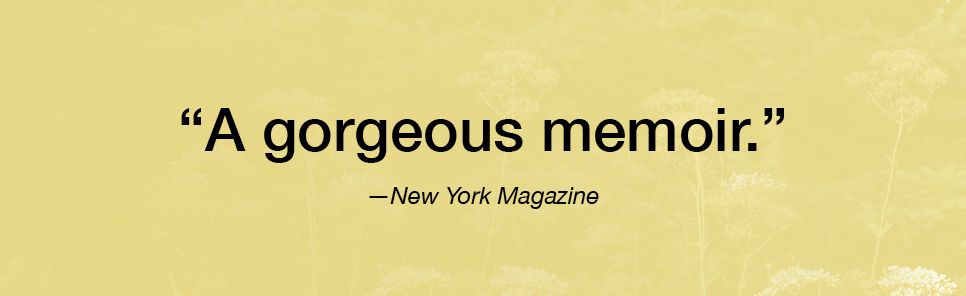 Rise Above: A Memoir