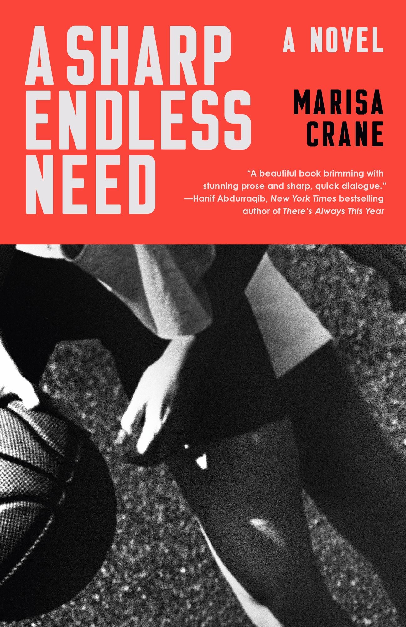 A Sharp Endless Need: A Novel