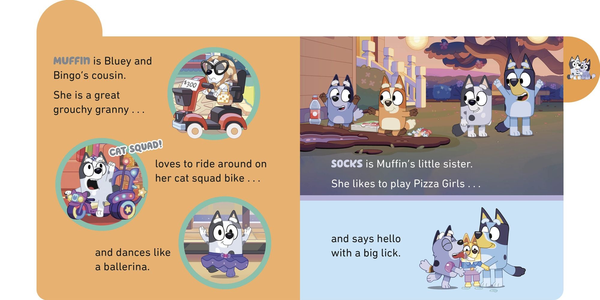 Meet Bluey's Family: A Tabbed Board Book
