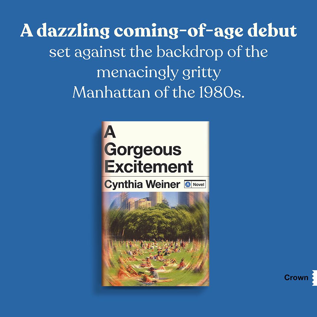 A Gorgeous Excitement: A Novel