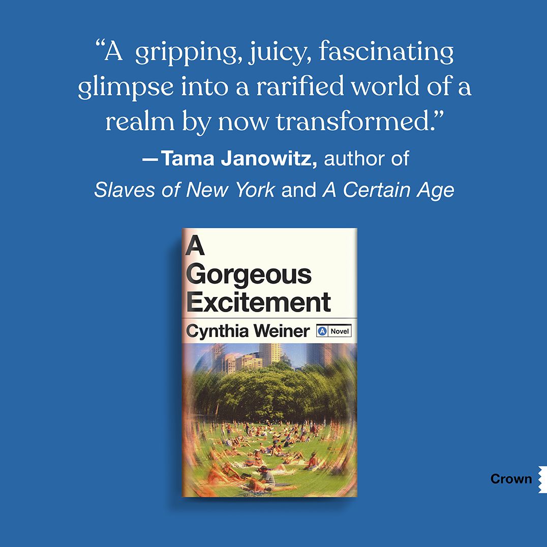 A Gorgeous Excitement: A Novel