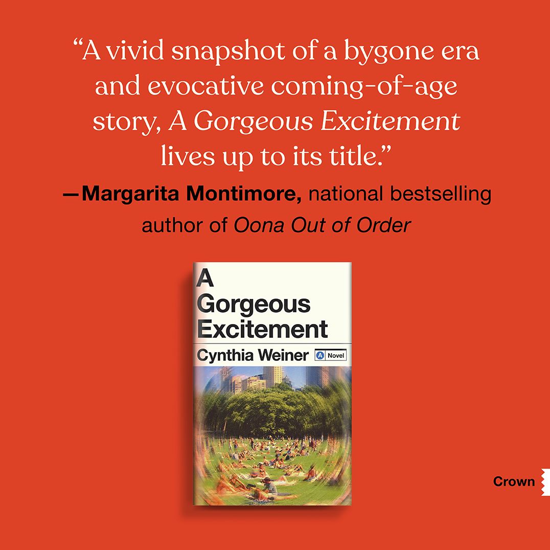 A Gorgeous Excitement: A Novel