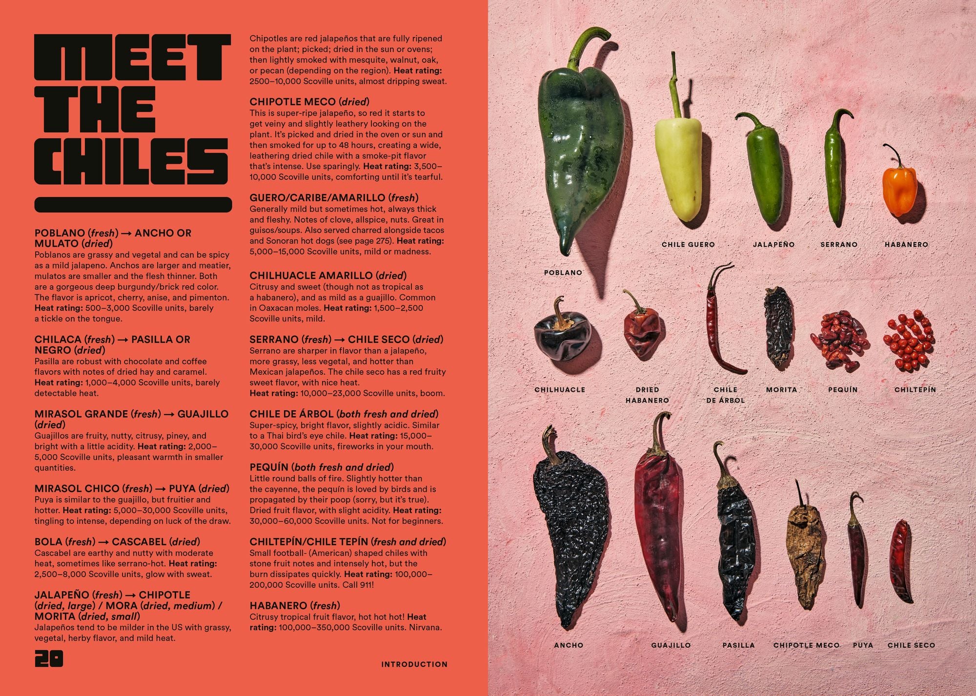 Salsa Daddy: Dip Your Way into Mexican Cooking