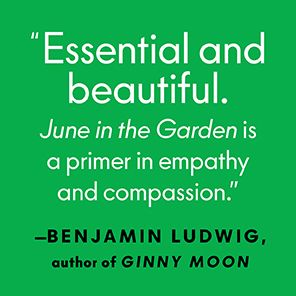 June in the Garden: A Novel