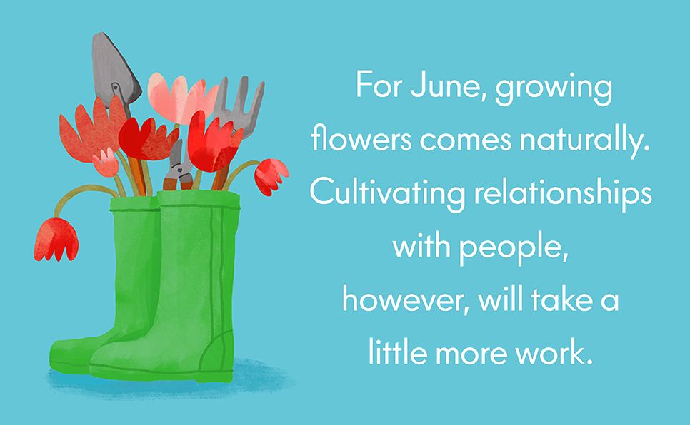 June in the Garden: A Novel