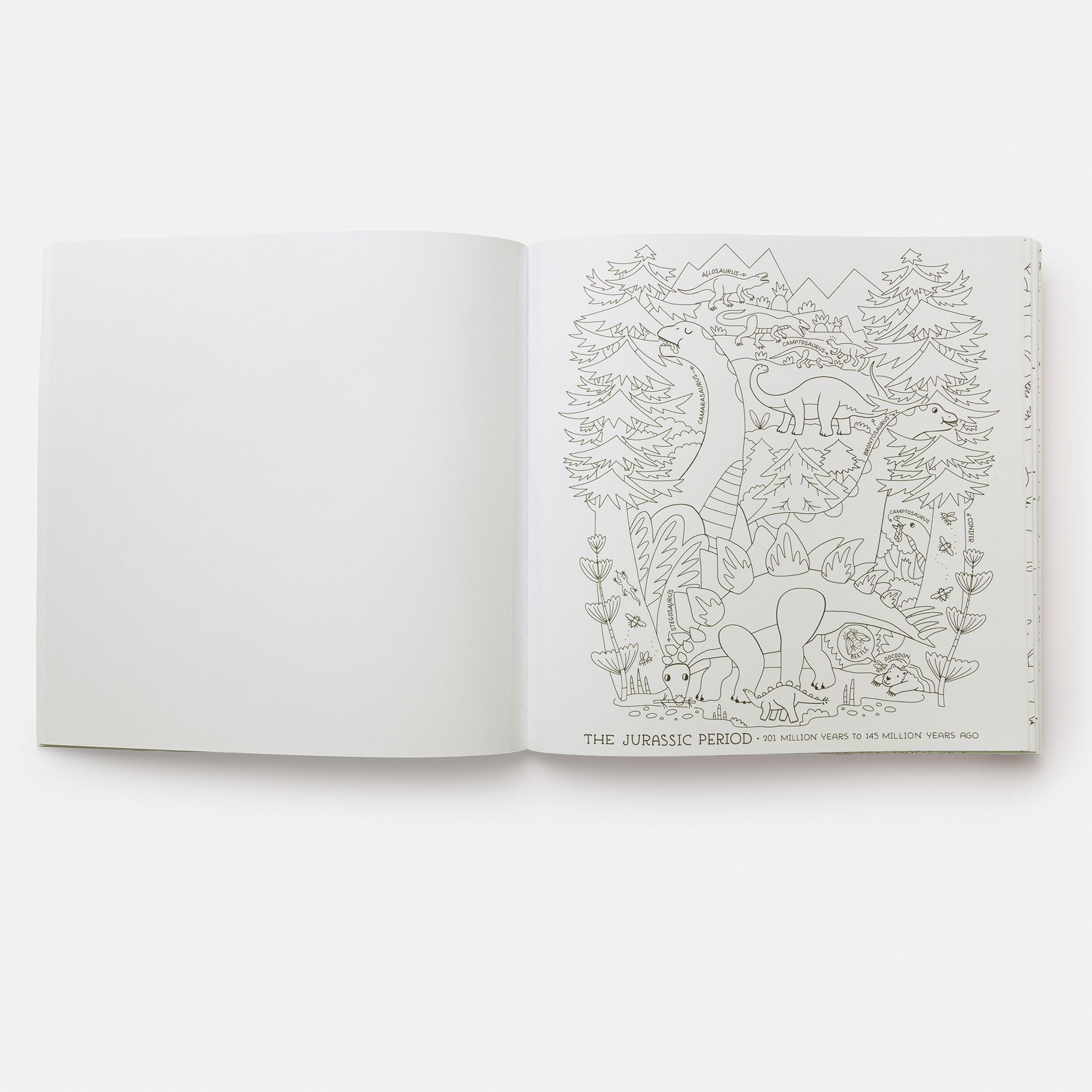 Dinosaurs Coloring Book: 40 Drawings to Color