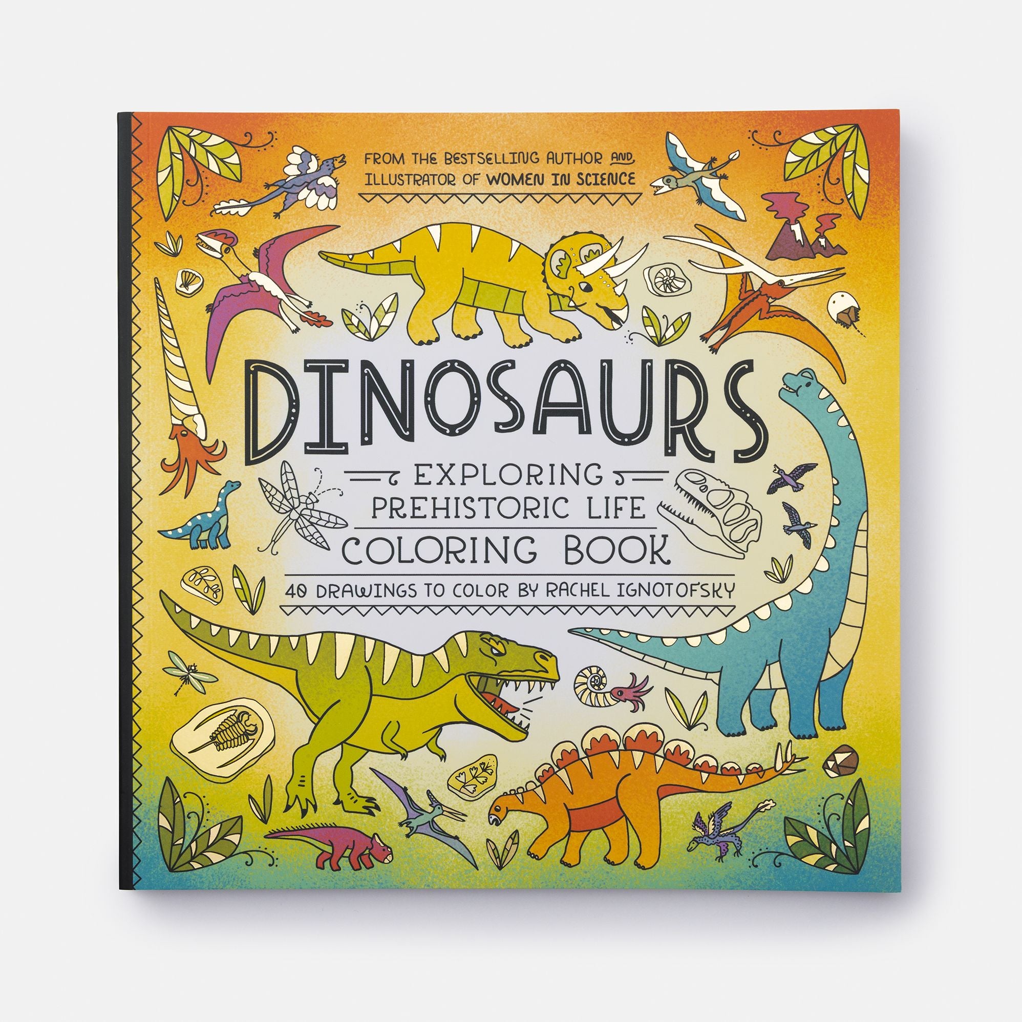 Dinosaurs Coloring Book: 40 Drawings to Color