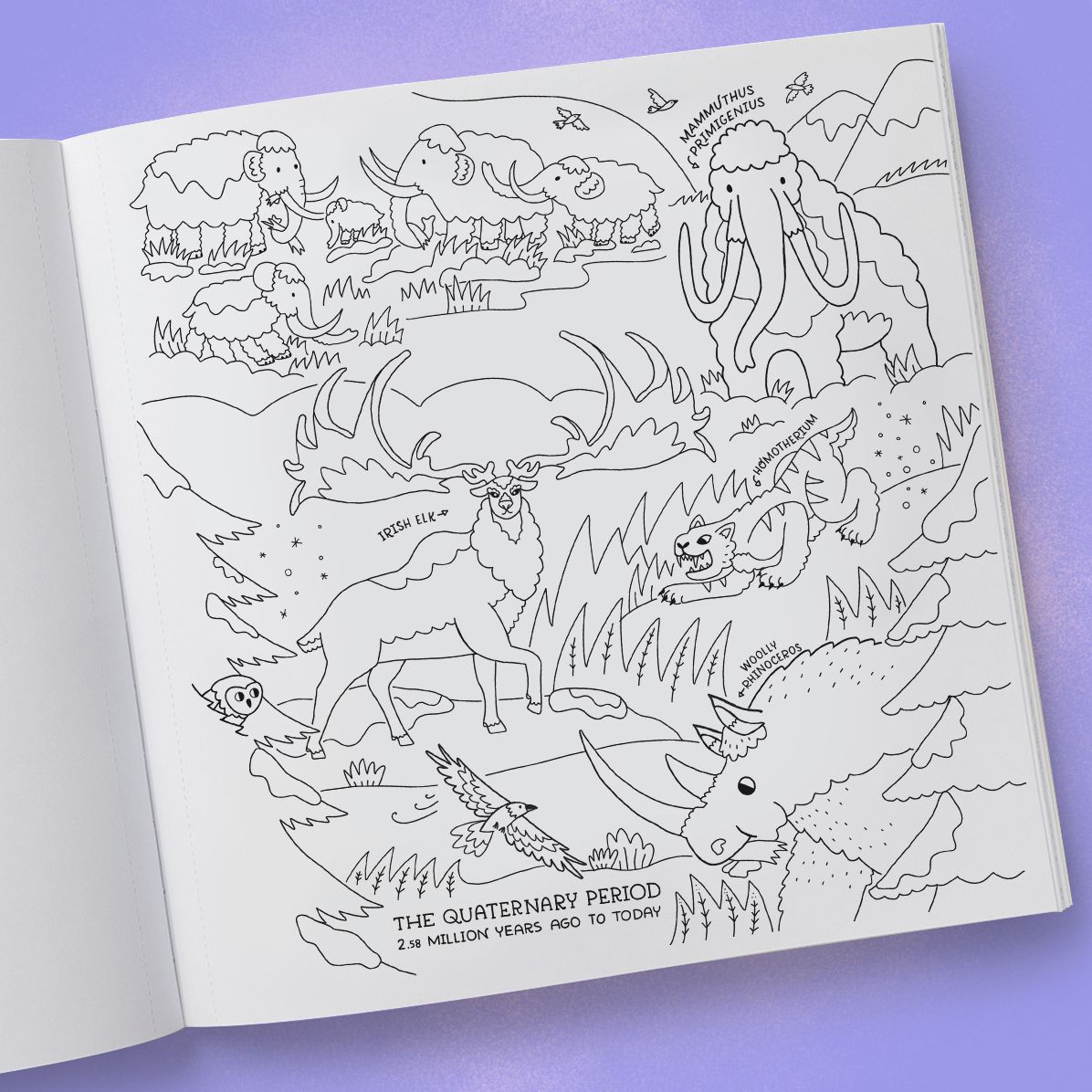 Dinosaurs Coloring Book: 40 Drawings to Color