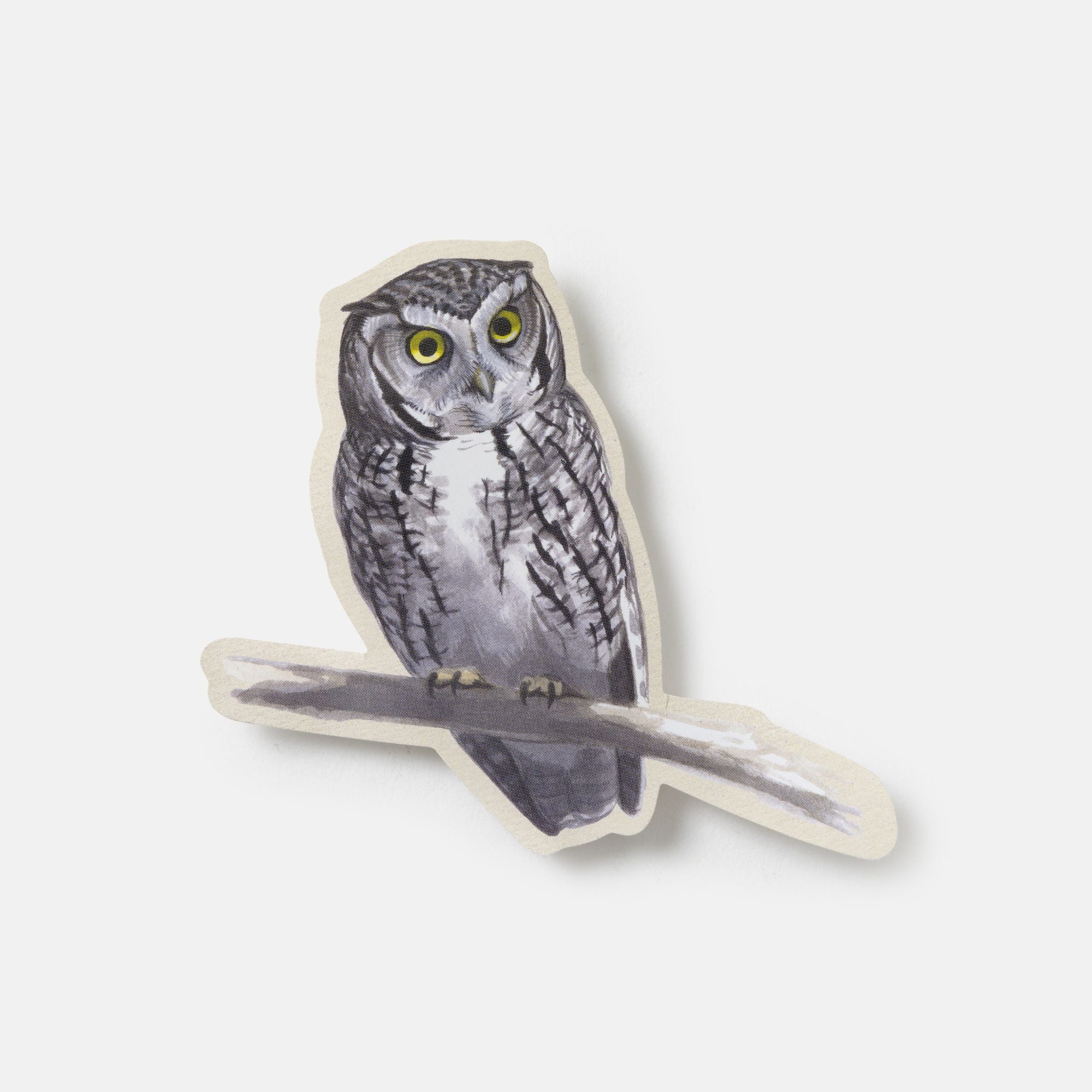 Sibley Birding Sticker Book: With More Than 300 Stickers: Stickers for Journals, Water Bottles, Laptops, Planners, and More