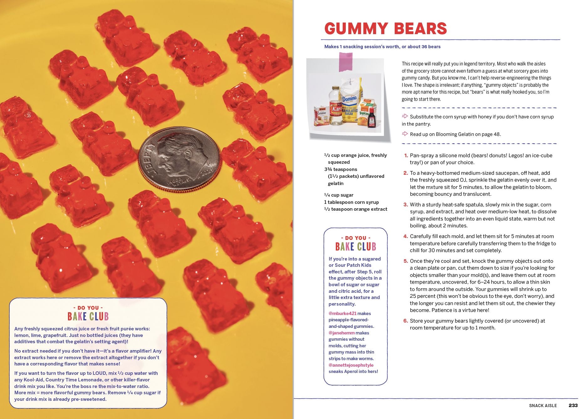 Bake Club: 101 Must-Have Moves for Your Kitchen: A Cookbook