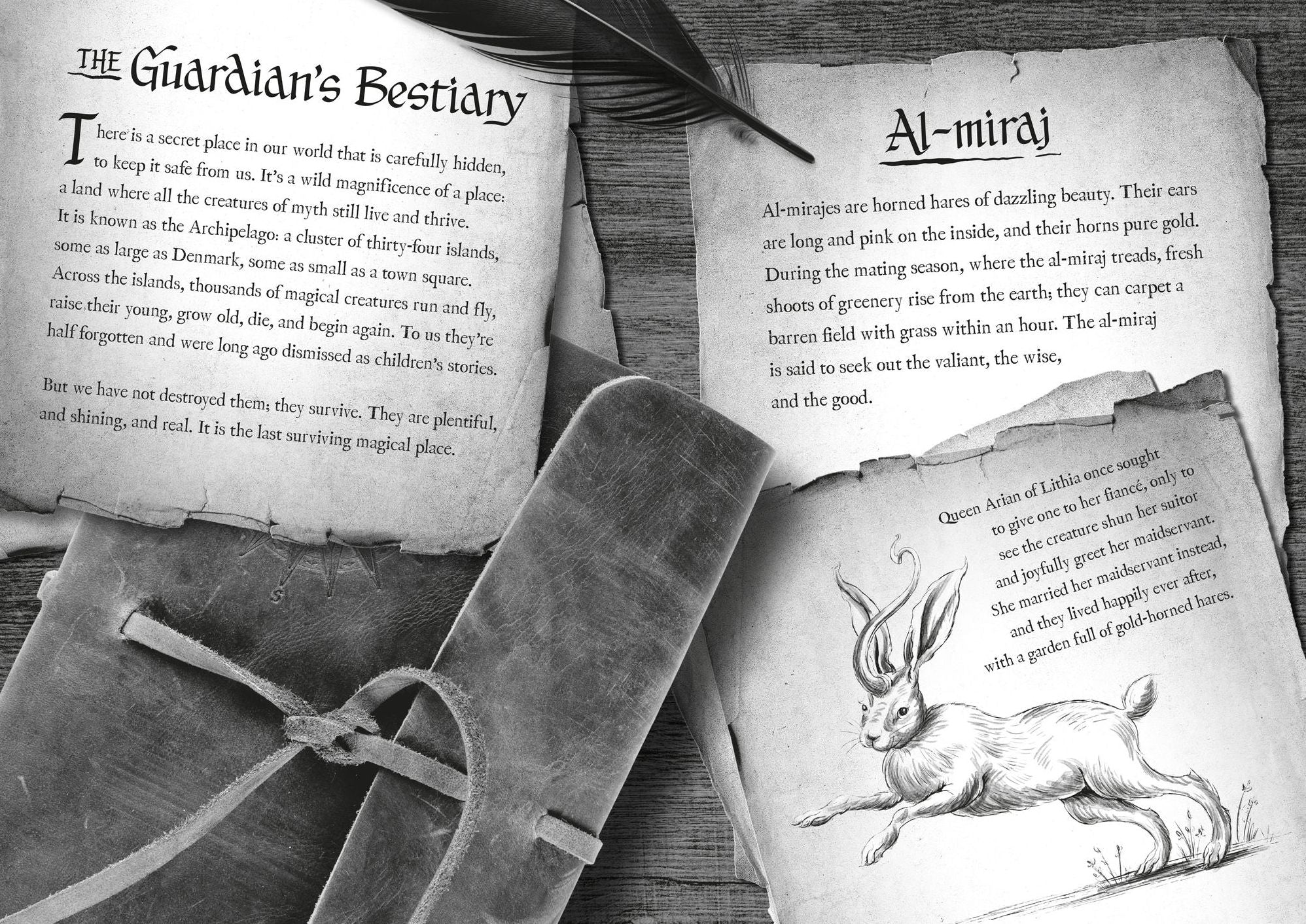 Impossible Creatures (2024 B&N Children's Book of the Year)