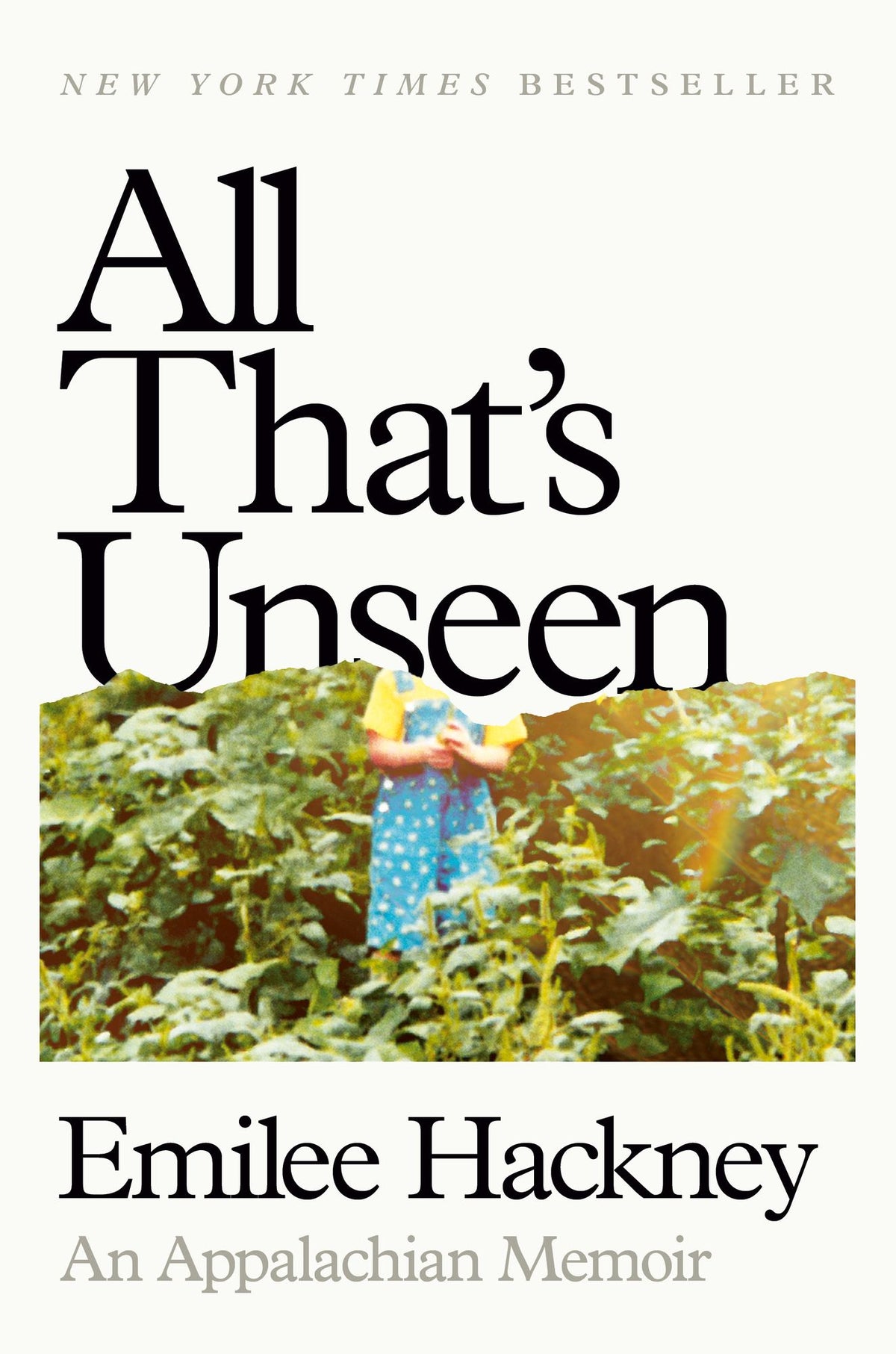 All That's Unseen: An Appalachian Memoir