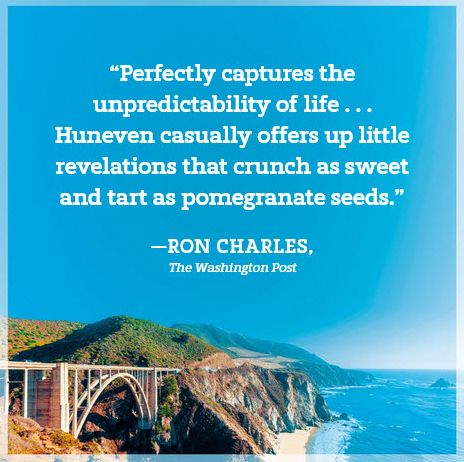 Bug Hollow: A Novel