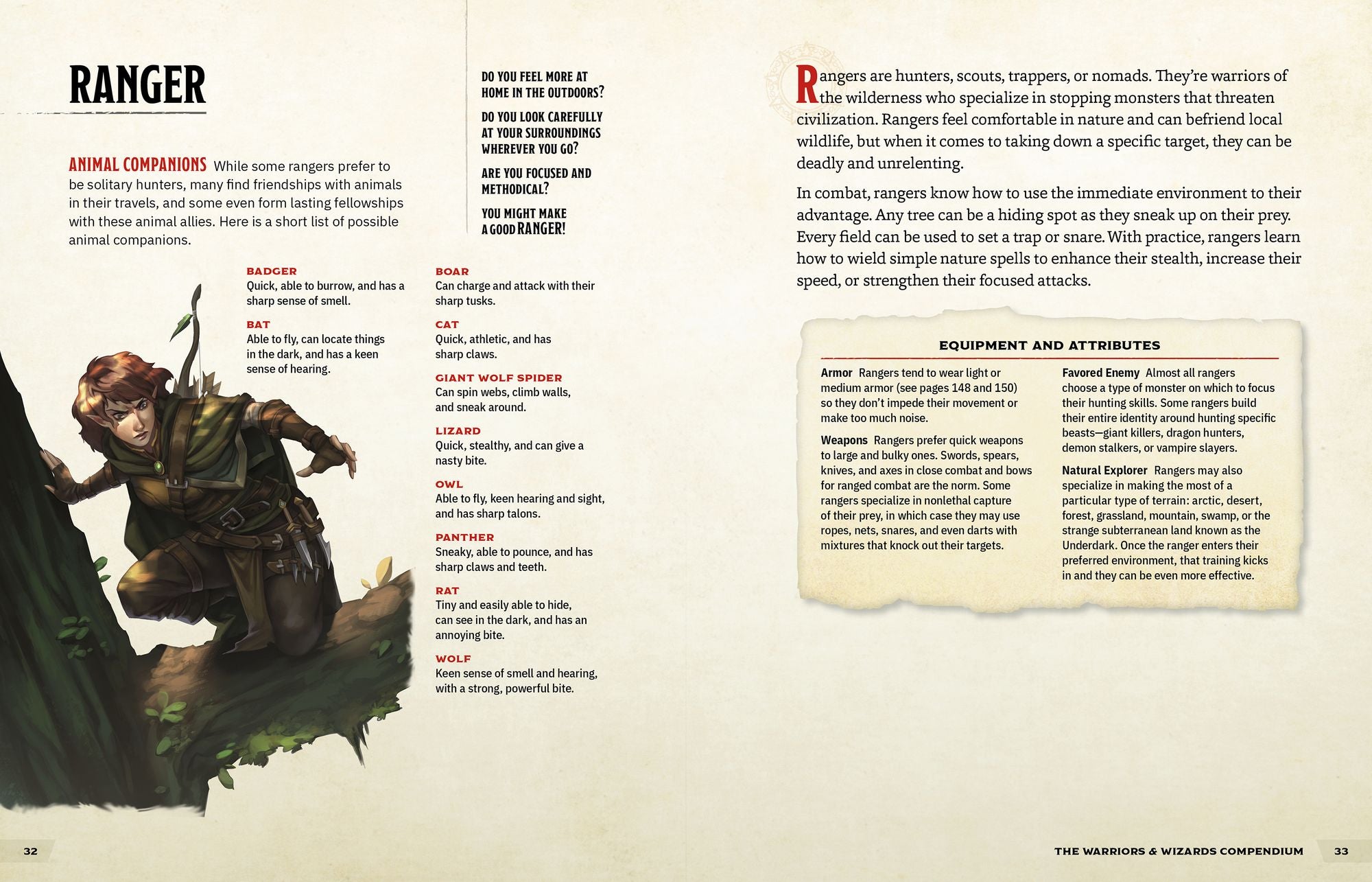 The Warriors & Wizards Compendium (Dungeons & Dragons): A Young Adventurer's Guide