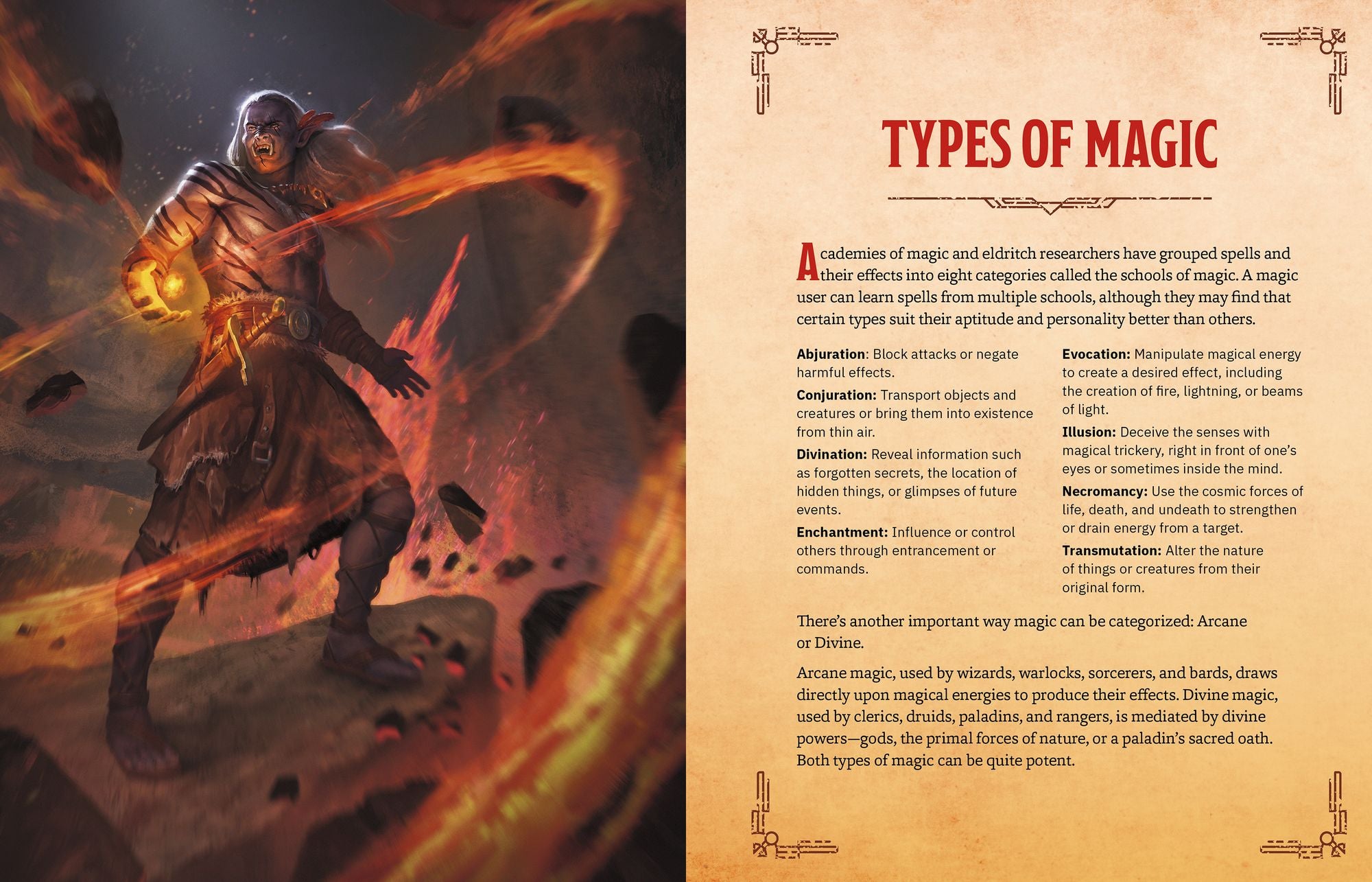 The Warriors & Wizards Compendium (Dungeons & Dragons): A Young Adventurer's Guide