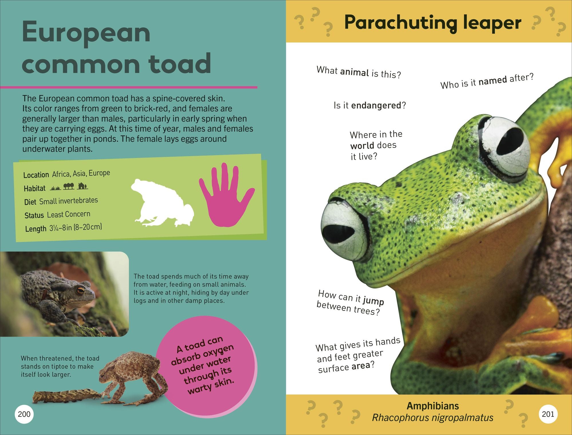 Quiz Yourself Clever! Animals of the World