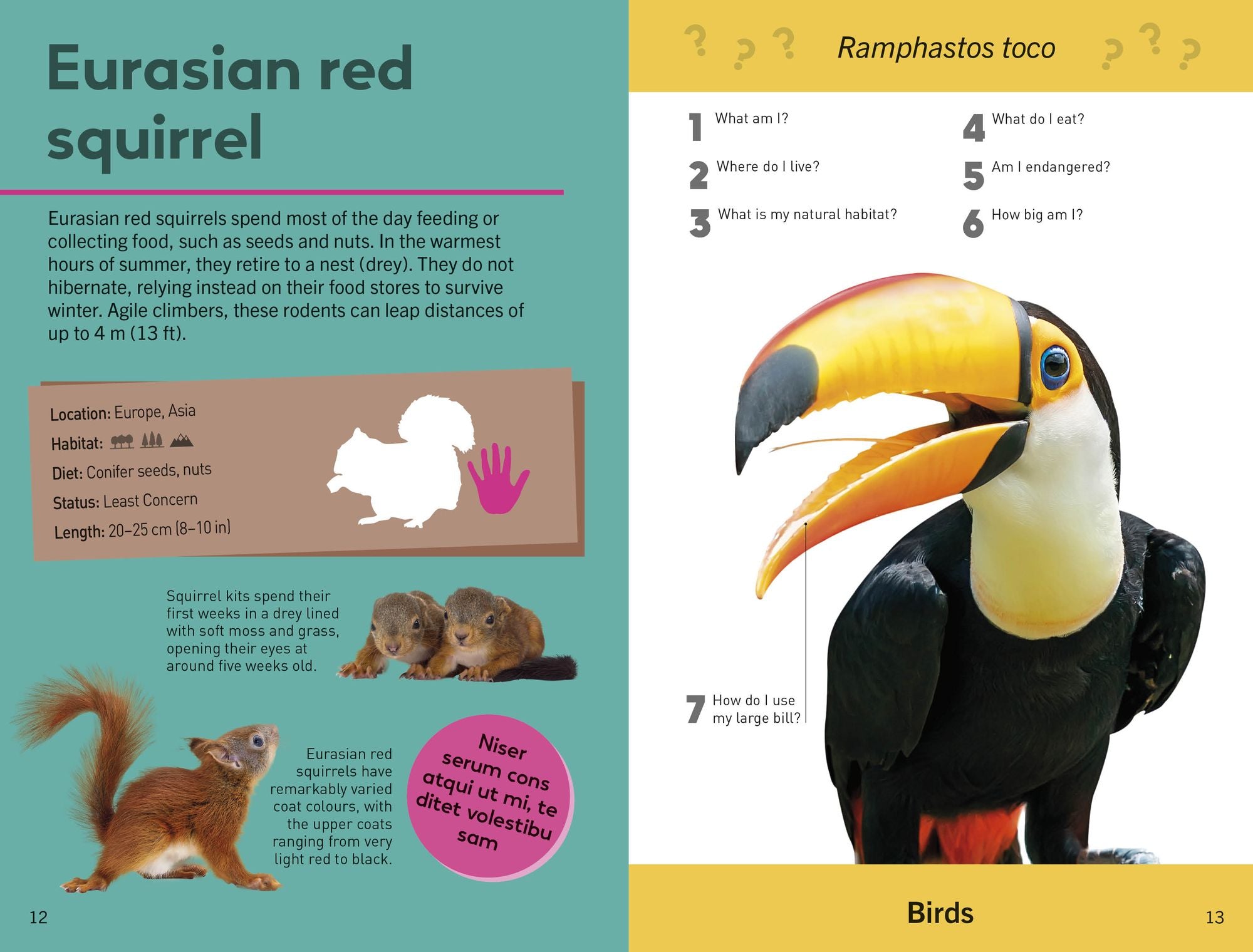 Quiz Yourself Clever! Animals of the World