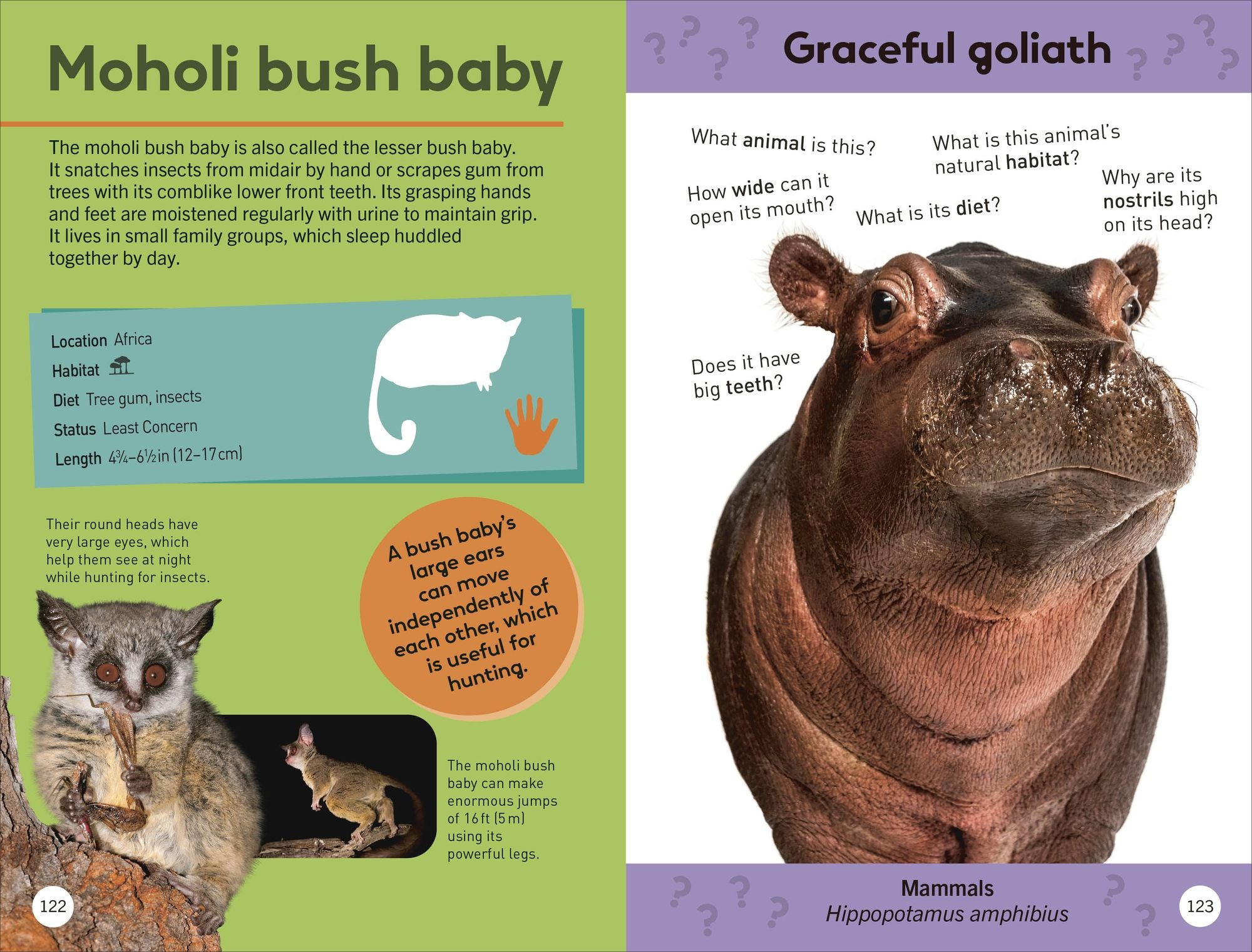 Quiz Yourself Clever! Animals of the World