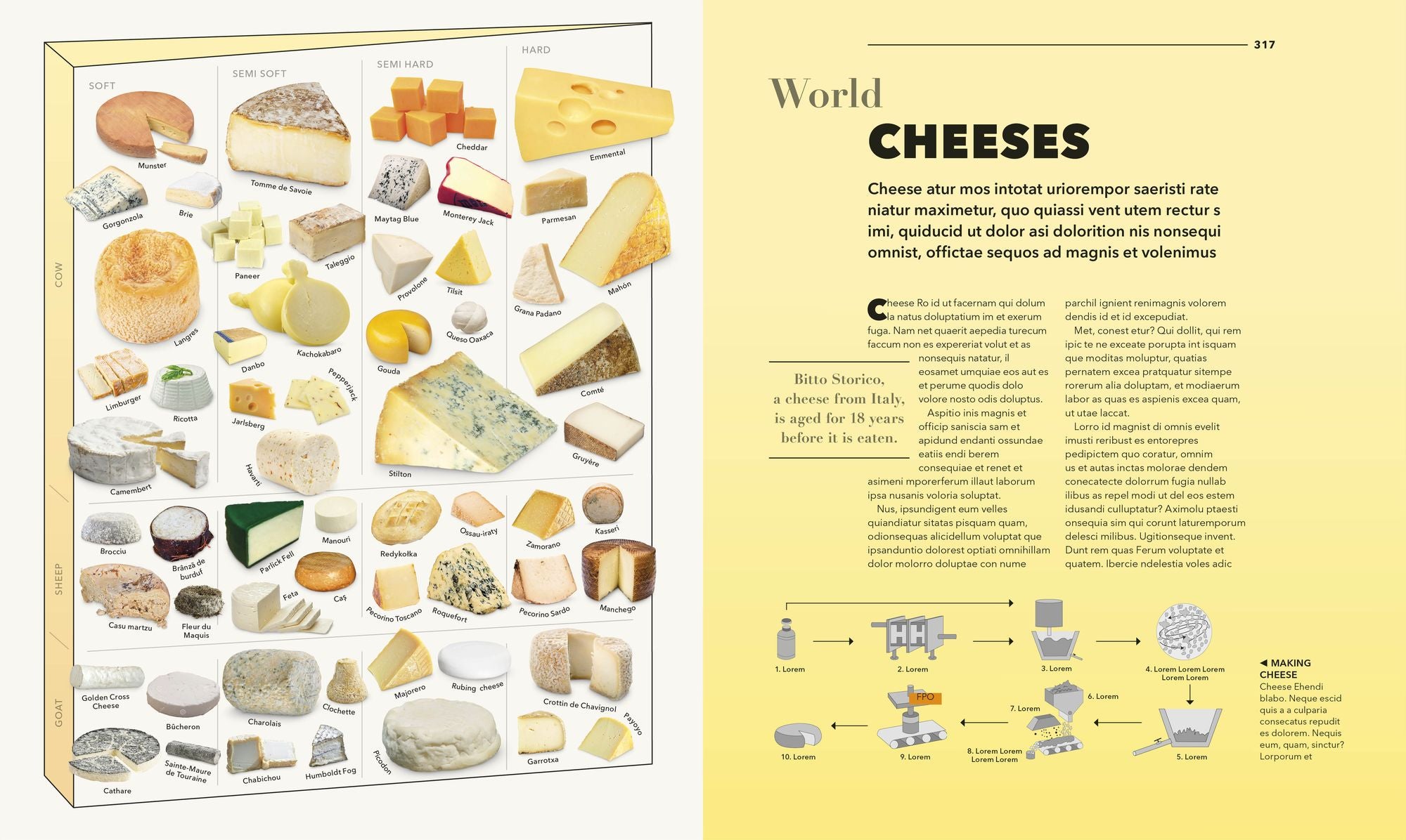 Knowledge A Visual Compendium: Making Sense of our World