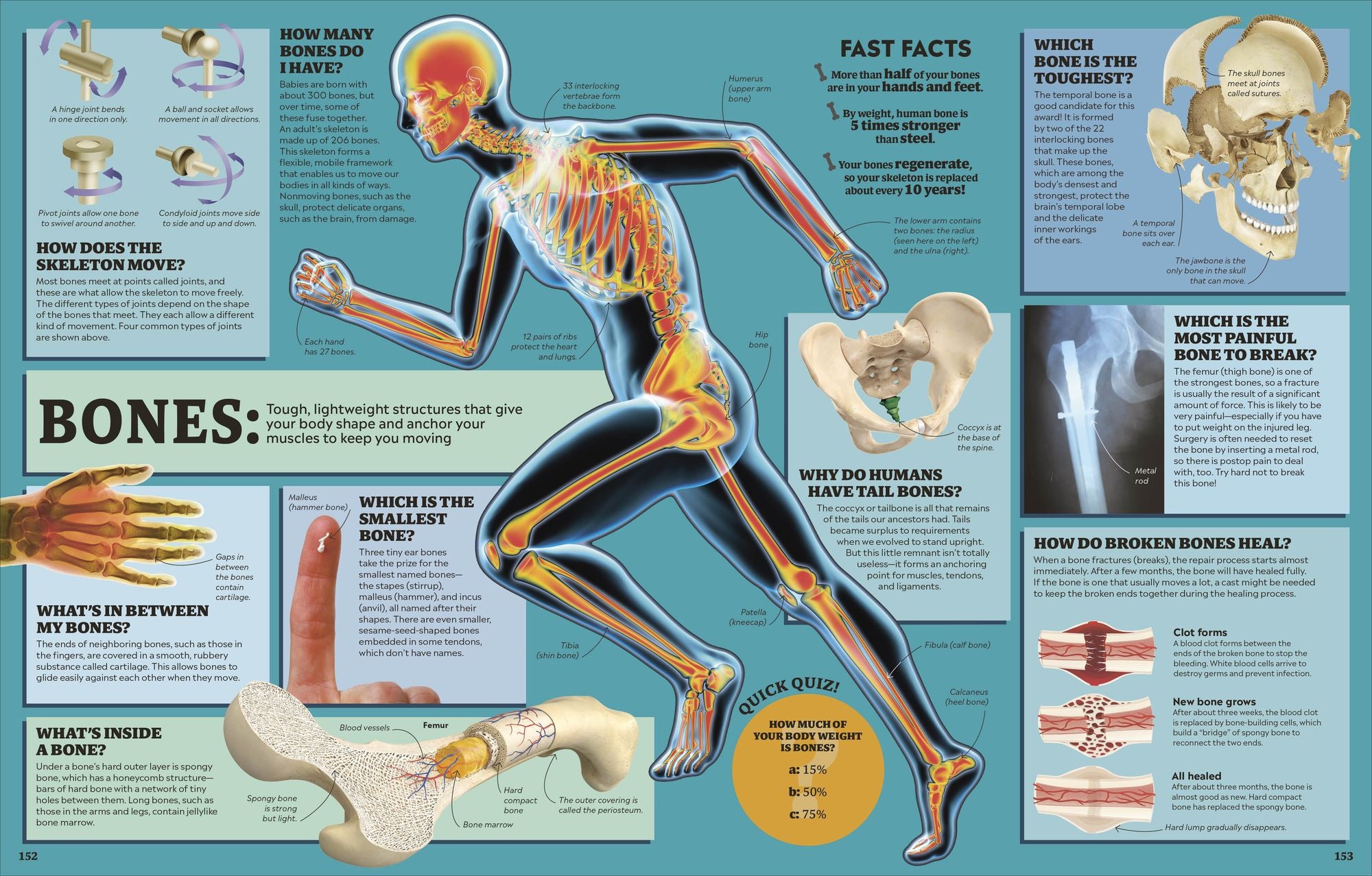 1,000 Curious Questions: And 1,000 Amazing Answers