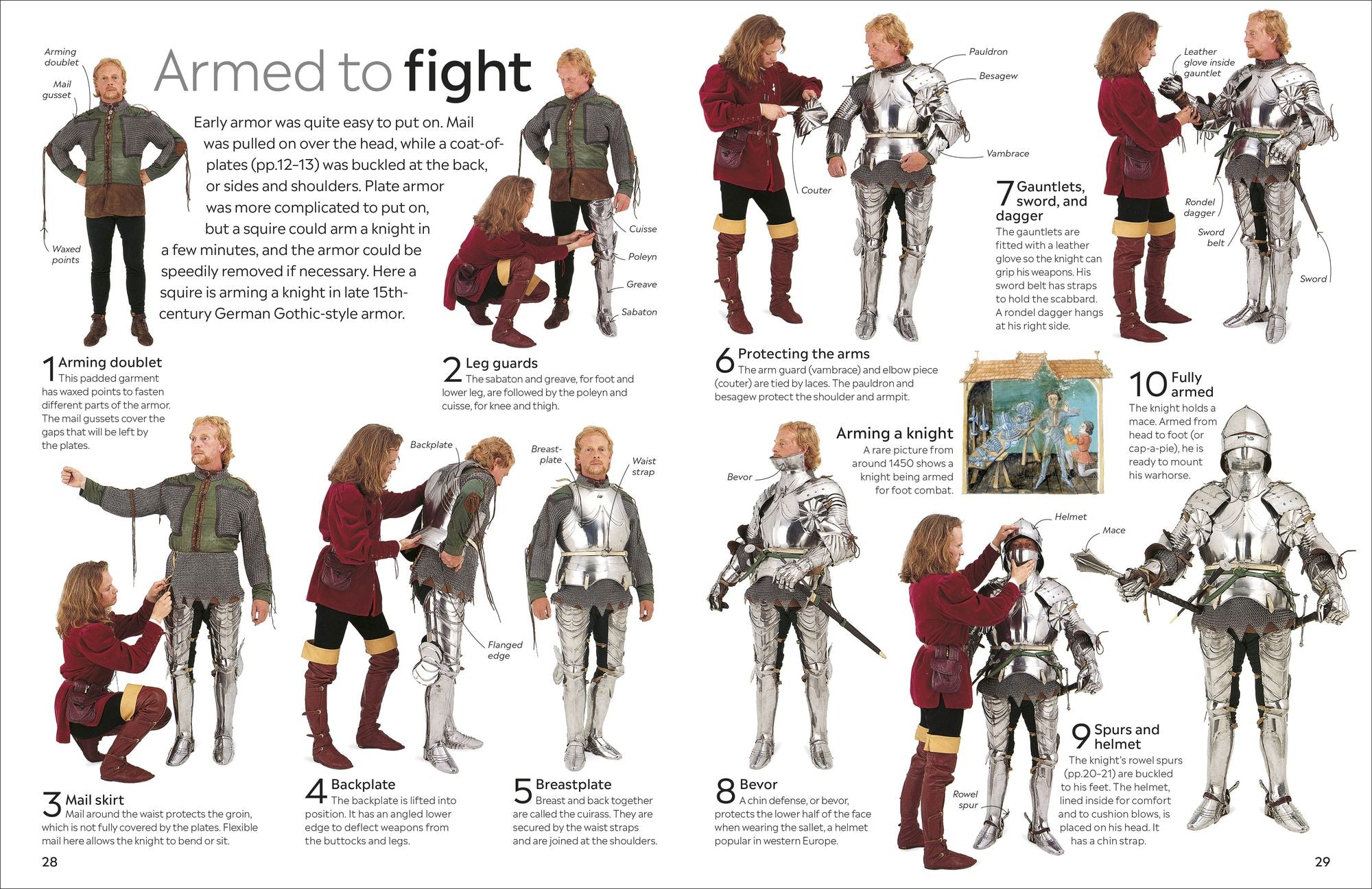 Eyewitness Knight