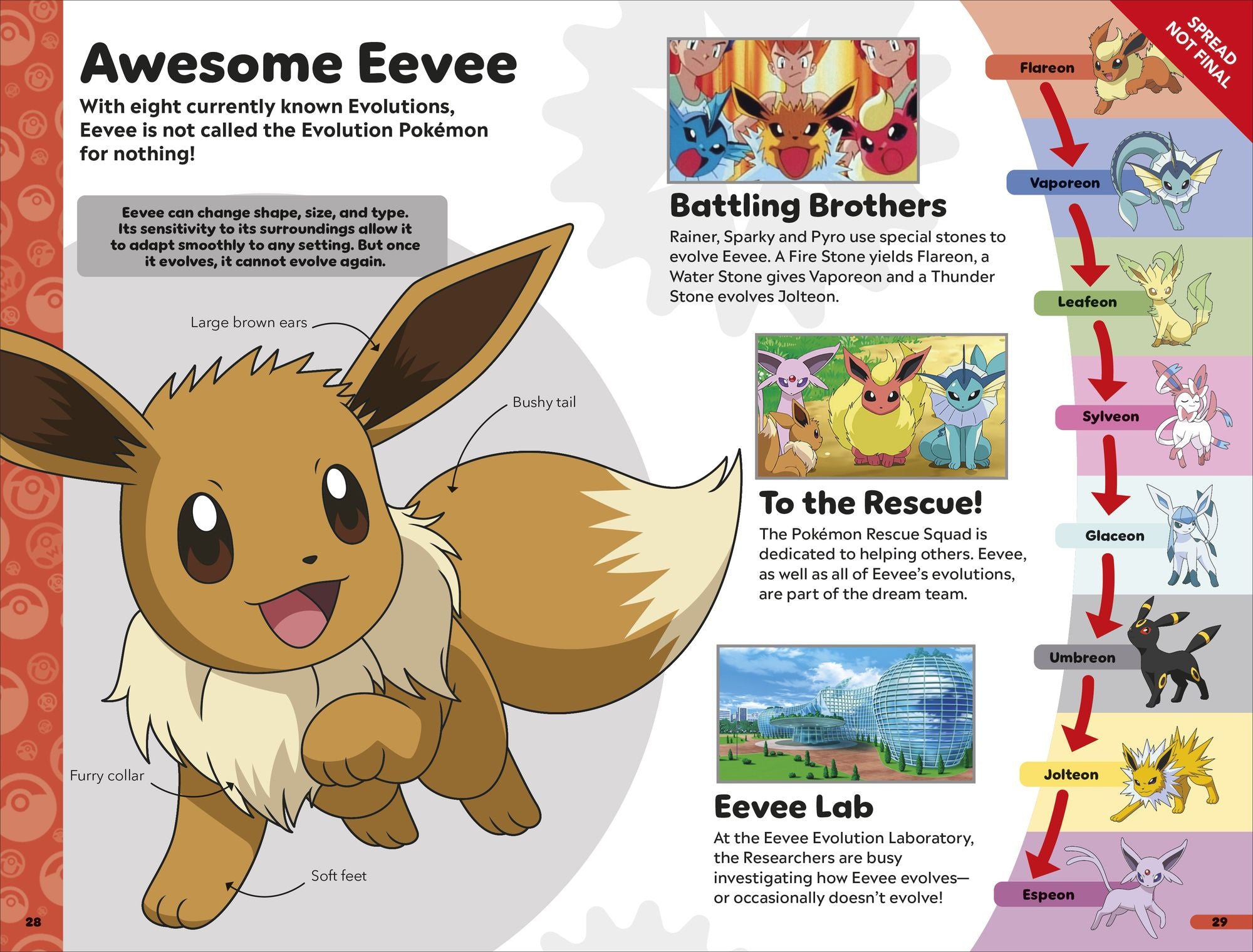 Pokémon Book of Evolutions
