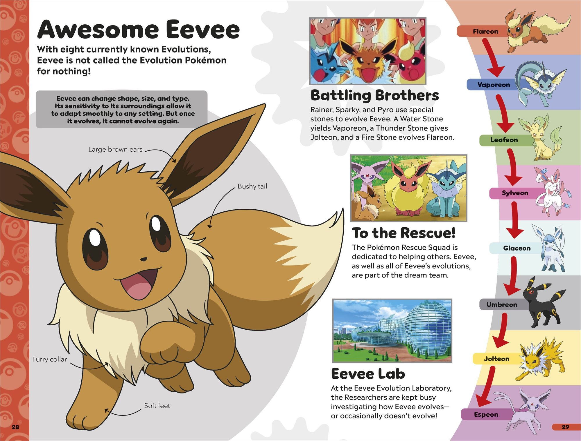 Pokémon Book of Evolutions