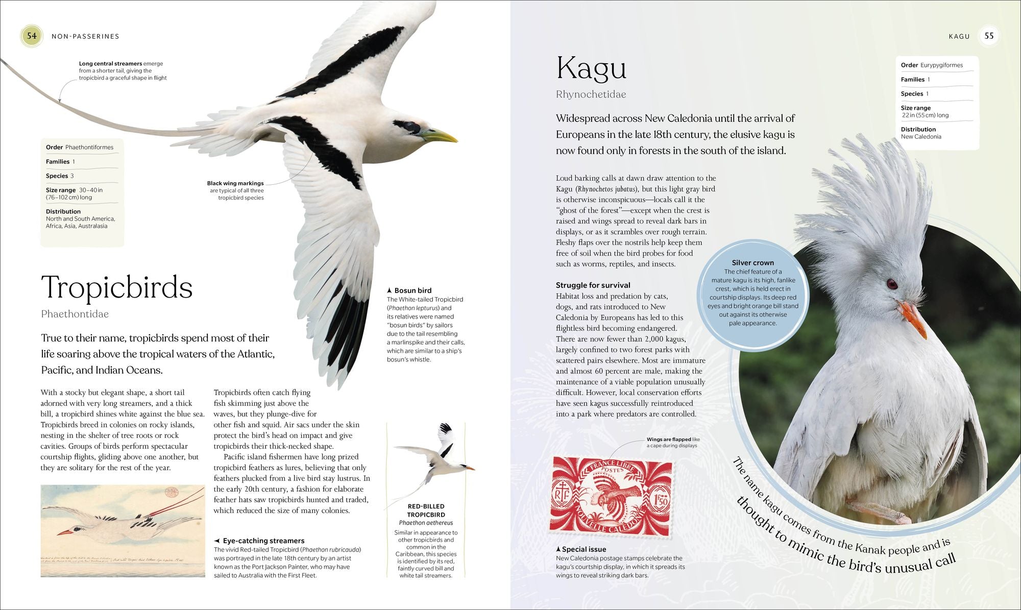 The Bird Book: The Stories, Science, and History of Birds