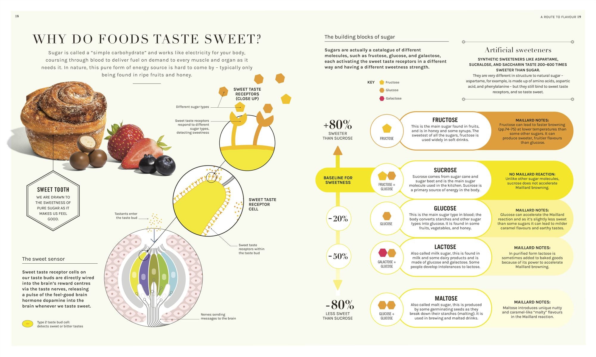 The Science of Flavor: Unlock the Secrets of Flavorful Cooking