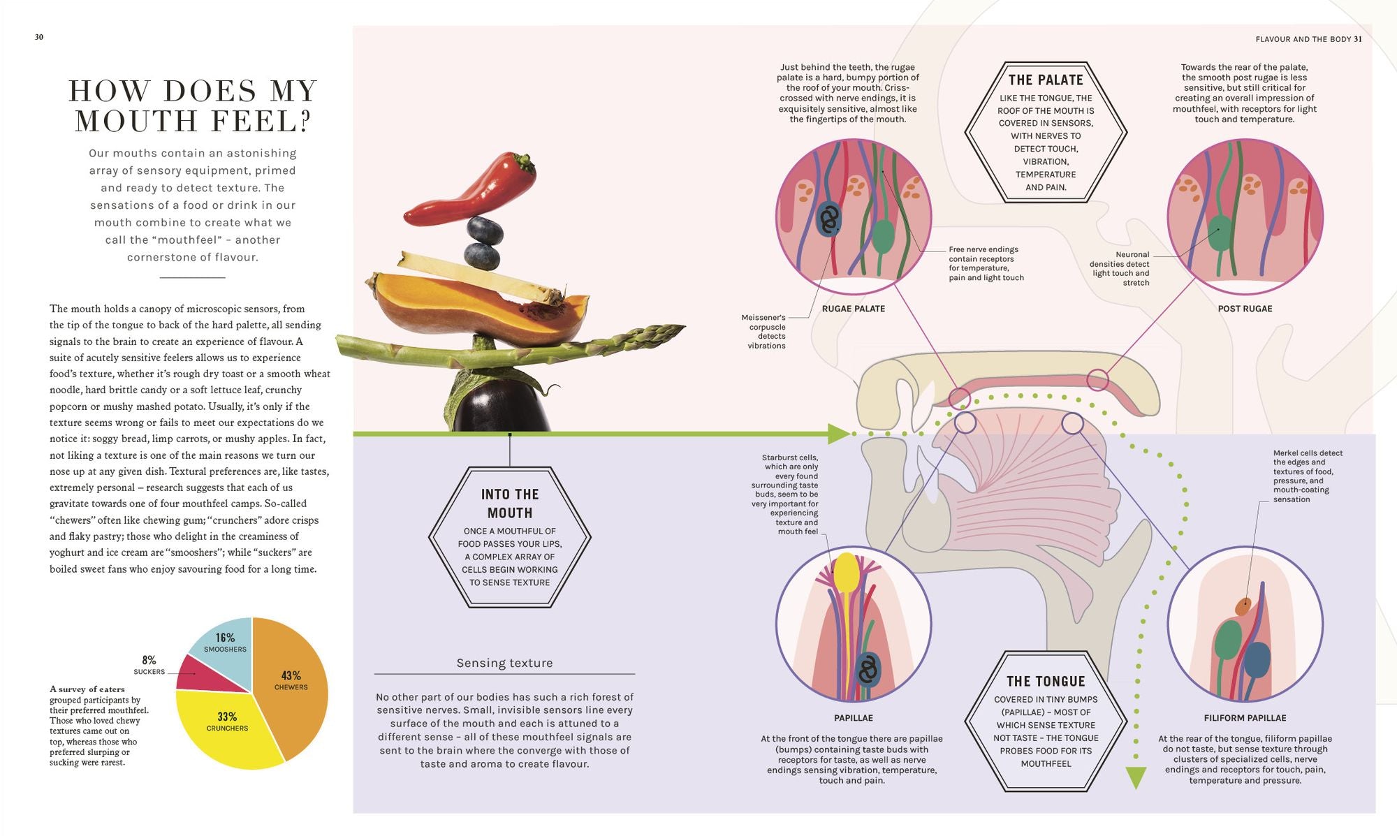 The Science of Flavor: Unlock the Secrets of Flavorful Cooking