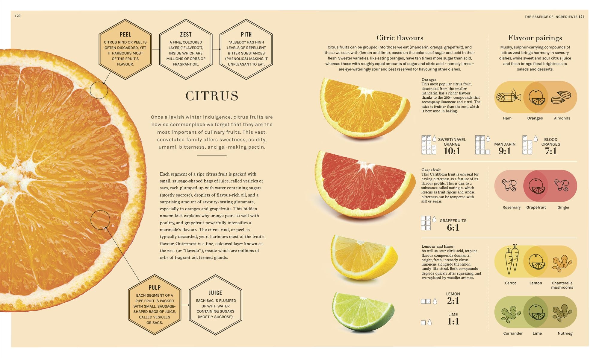 The Science of Flavor: Unlock the Secrets of Flavorful Cooking