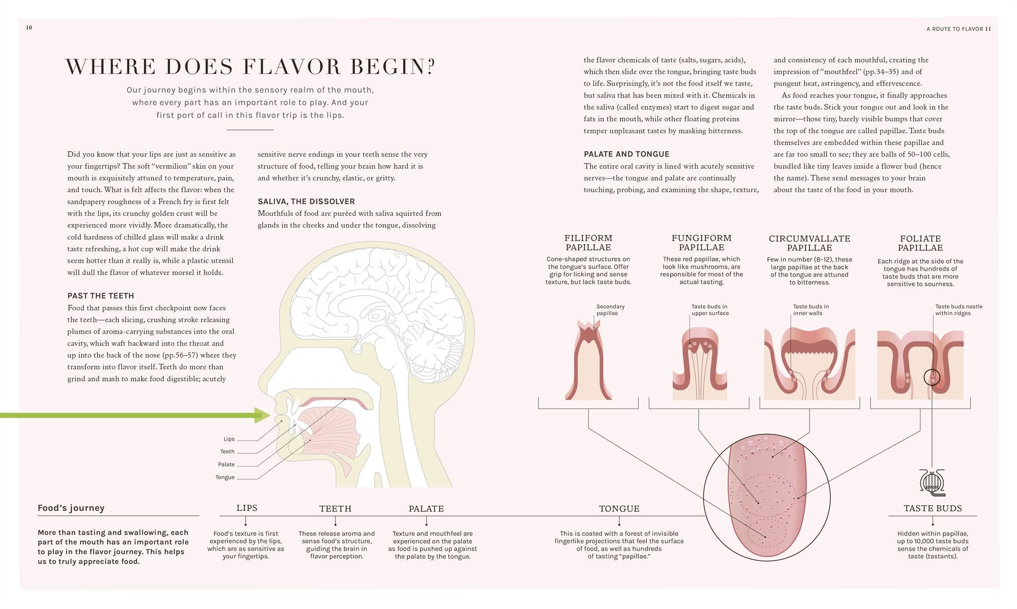 The Science of Flavor: Unlock the Secrets of Flavorful Cooking