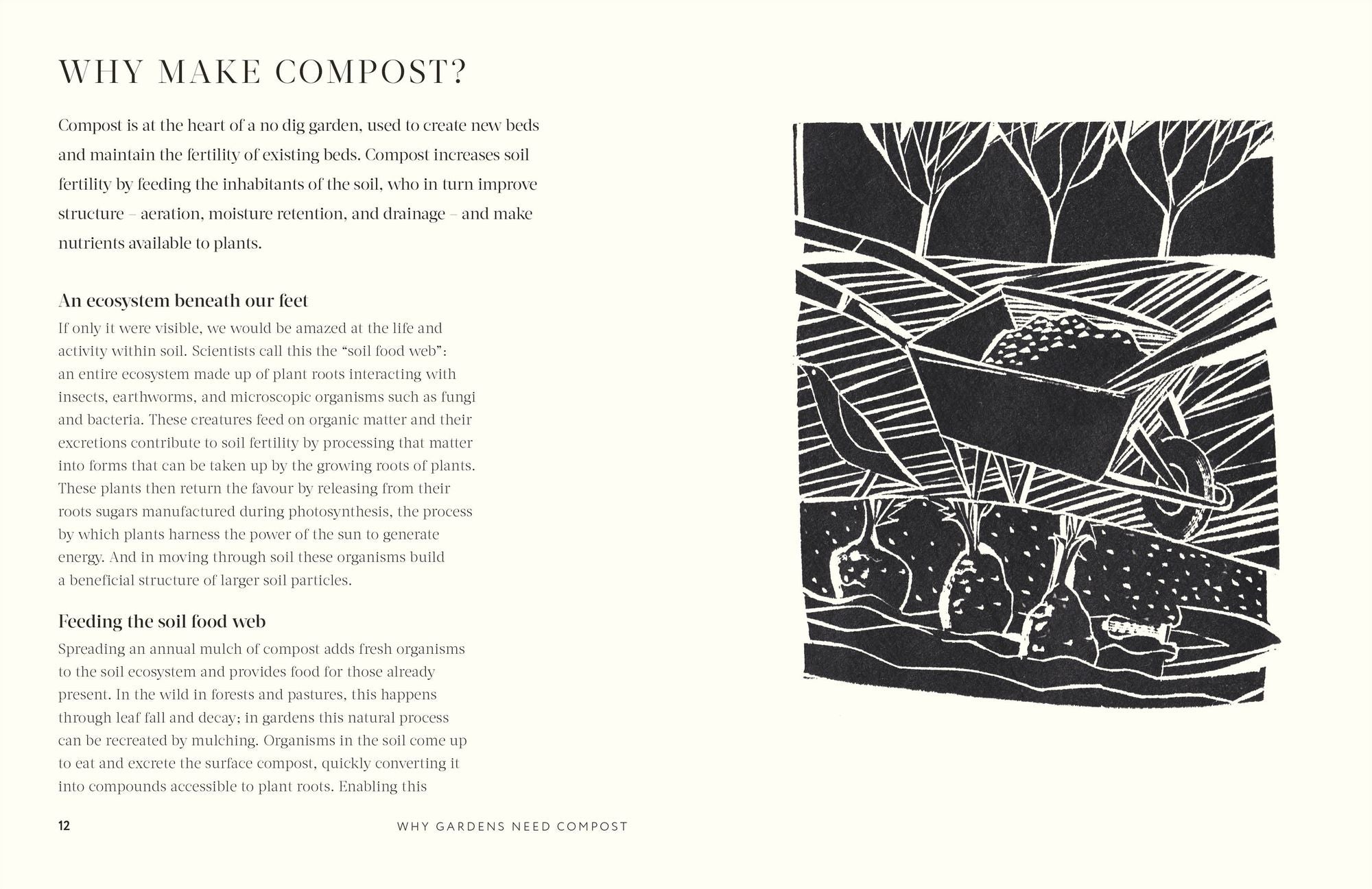 Compost: Transform Waste into New Life