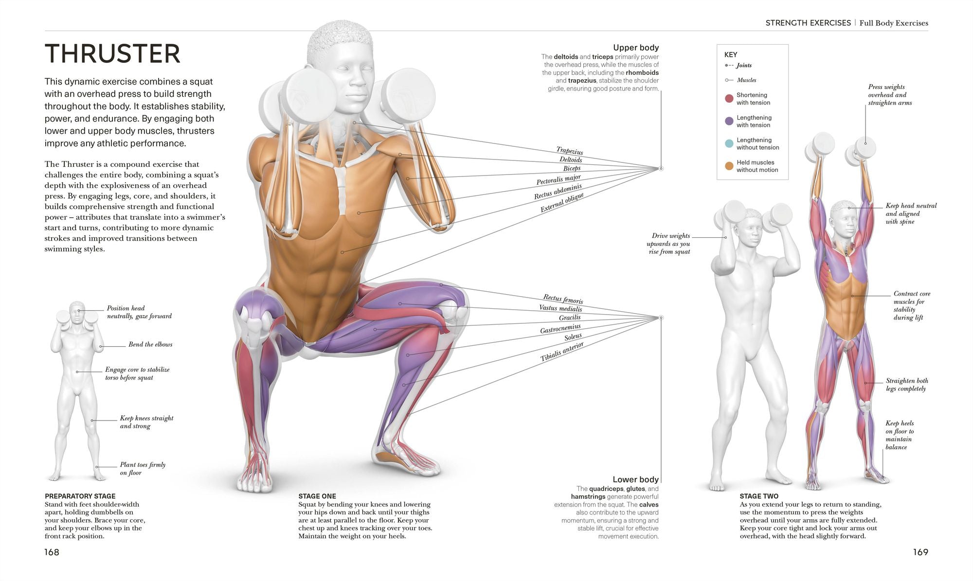 Science of Swimming: Transform Your Stroke, Improve Strength, Revolutionize Your Training