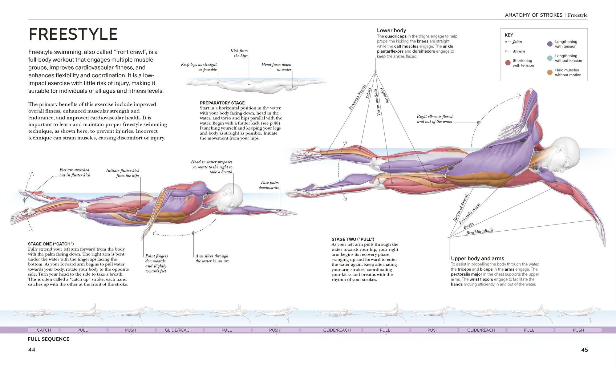 Science of Swimming: Transform Your Stroke, Improve Strength, Revolutionize Your Training