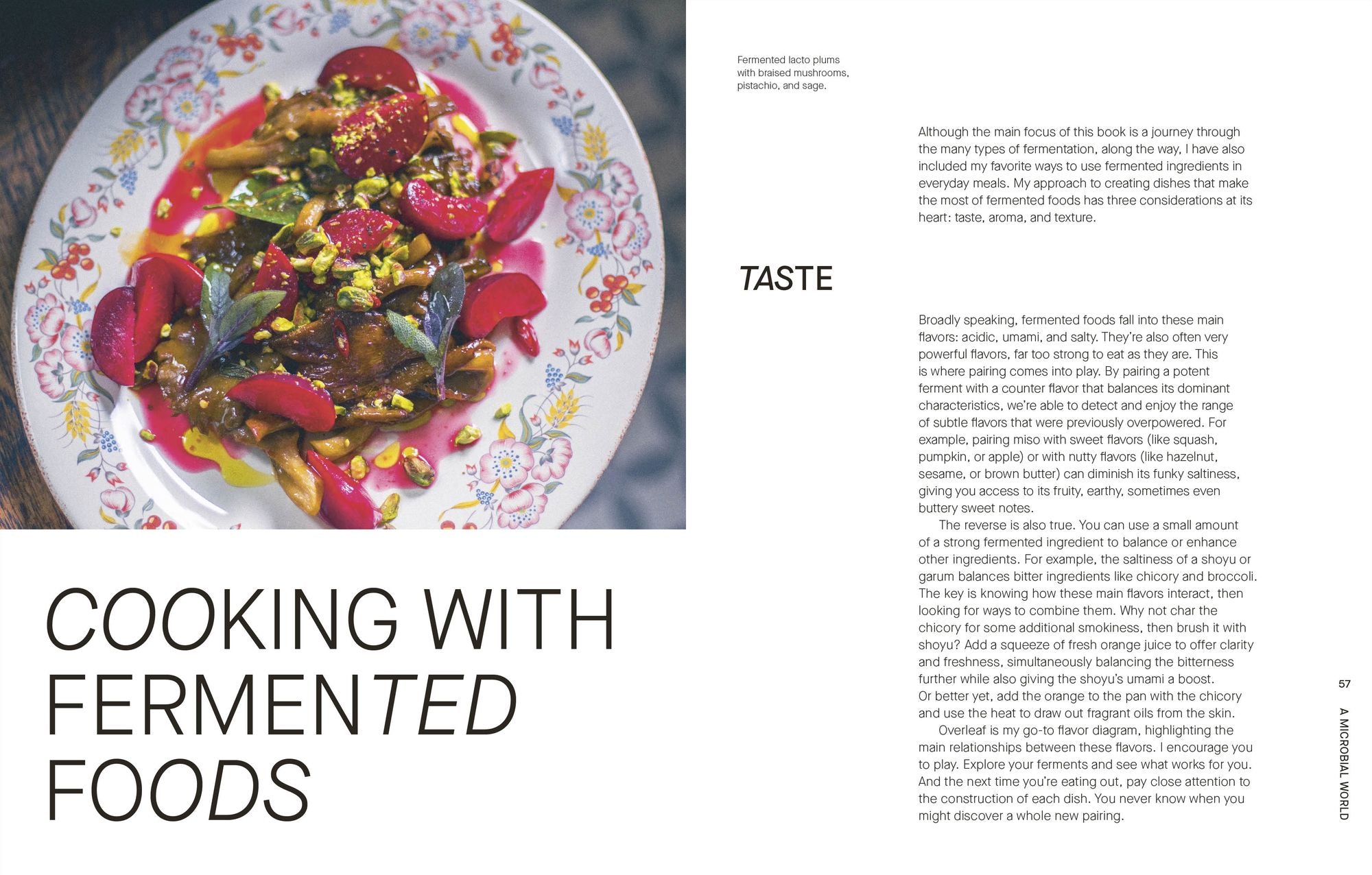 The Fermentation Kitchen: Recipes and Techniques for Kimchi, Kombucha, Koji, and More.