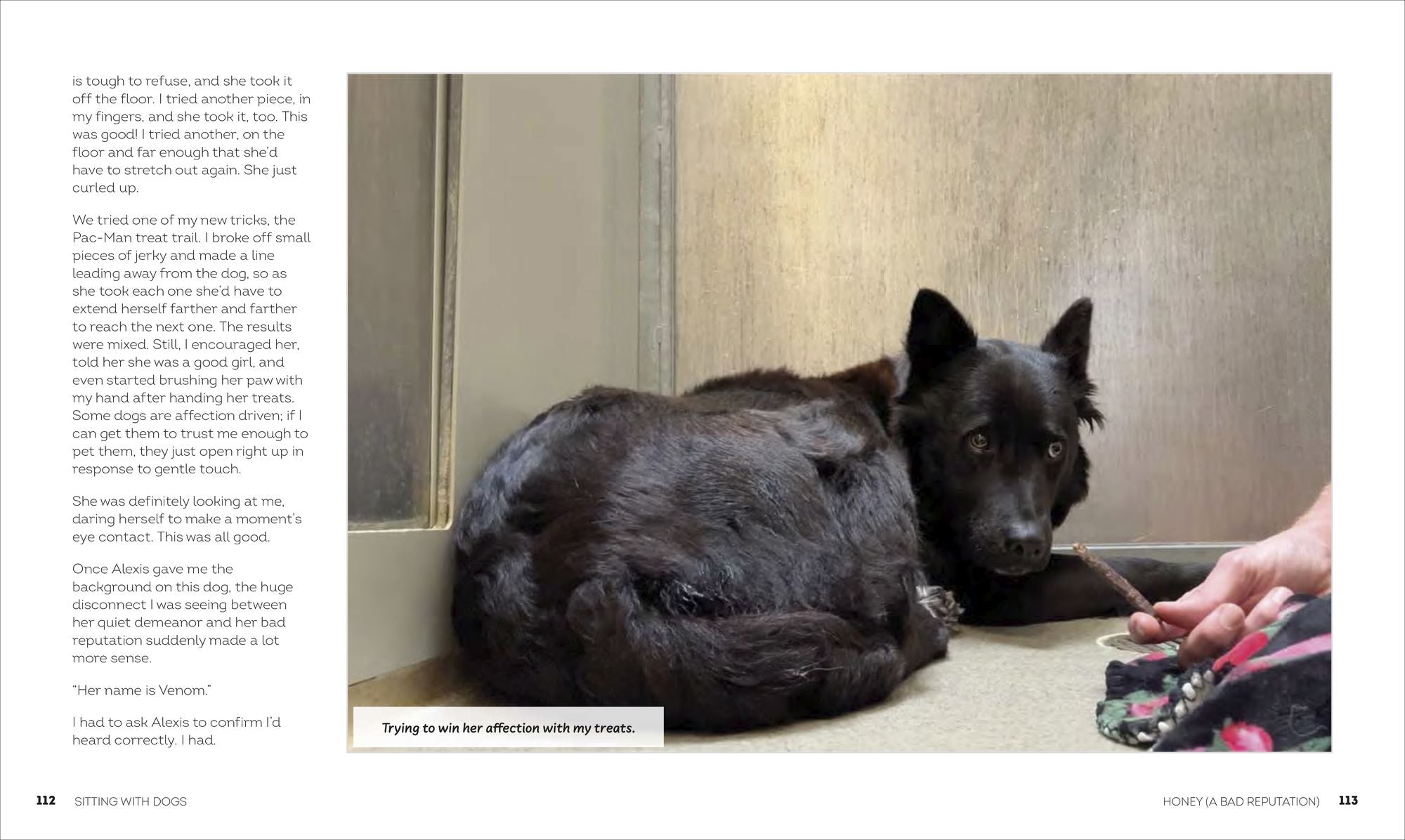 Sitting with Dogs: Stories of Rescue Dogs Going from Lost to Loved