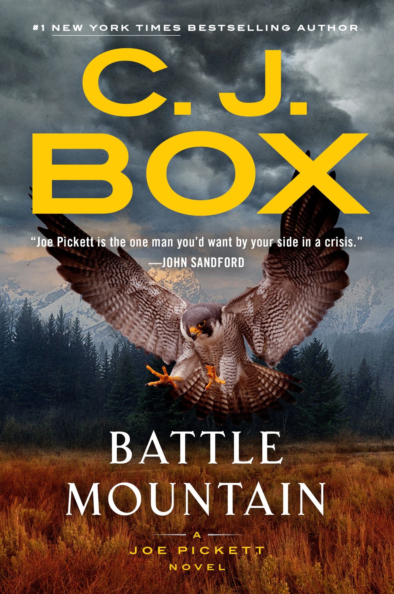 Battle Mountain (Joe Pickett Series #25)